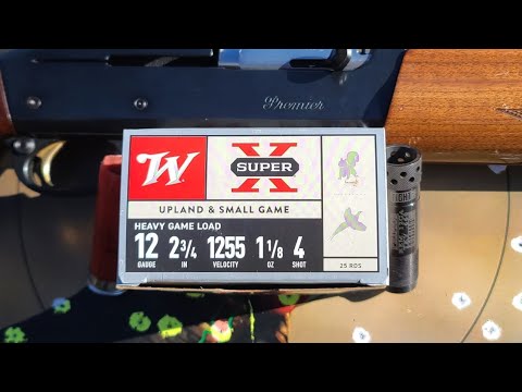 Cheap vs Expensive Shotgun Ammo Performance (Barnes 00 Buck vs Winchester Super X)
