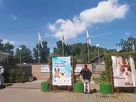 Palucha koślawego strona Korektor do palucha koślawego oraz kupić w Moskwie