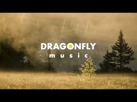 Seum Dero x SAIBU x Marin Hoxha - Again | 1 Hour Version