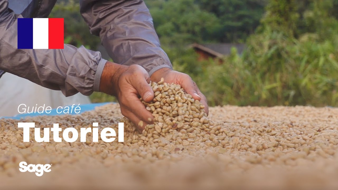 Choisir les bons grains