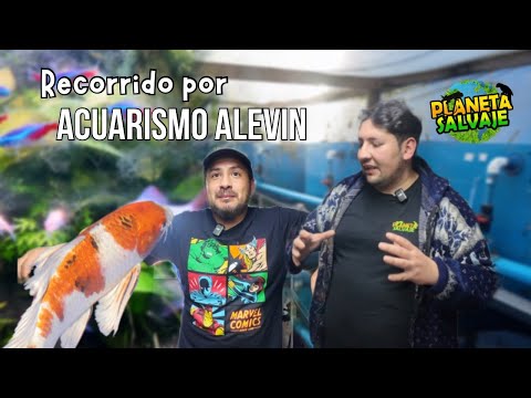 Visitando el criadero de peces Alevin