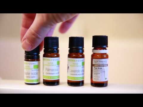 Comme Traite Le Microorganisme Végétal Sous Longle Les