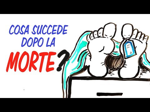 Lameba ordinaria è un parassita Ricevimento di analisi su un lyambliya