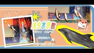 preview picture of video '浅虫水族館　イルカショー２０１４　【　東北ZEROムービー　】　１２月１５日撮影　720pwide'