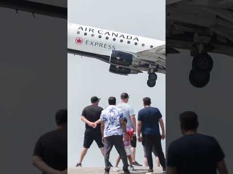 Ex-Air Canada pilot flew with forged licence: police