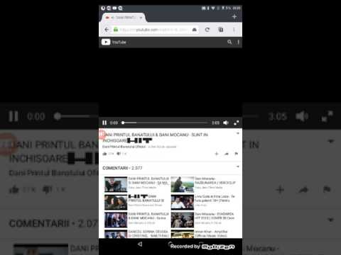 Dani prințul banatului