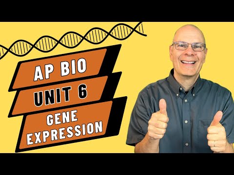 Crack the Code: Mastering Gene Expression in AP Bio Unit 6