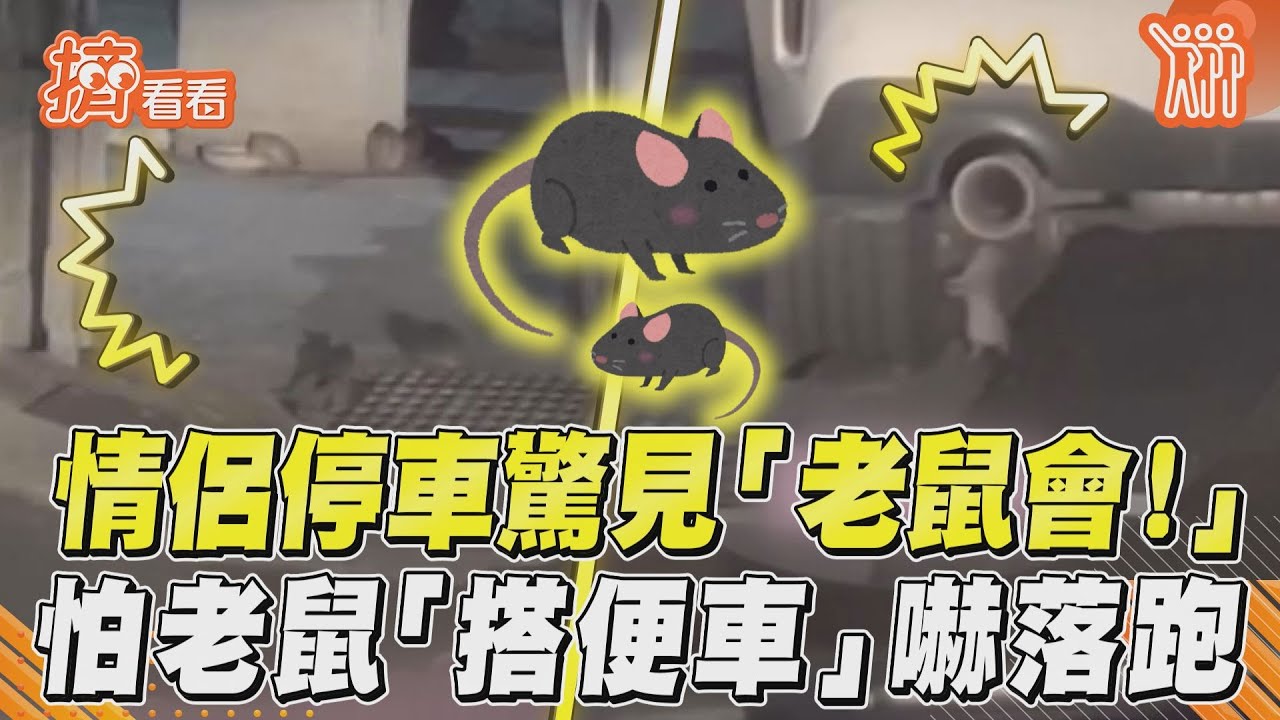 影音/情侶停車驚見「老鼠會!」 怕老鼠「搭便車」嚇落跑