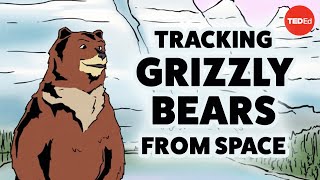 Tracking grizzly bears from space - David Laskin