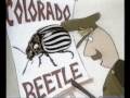 A Bug S Life During Wartime