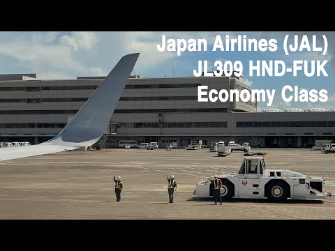 Miniatura YouTube dla JAL Boeing 737-800 (winglets) Passenger/BBJ2