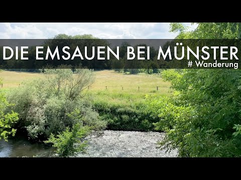 Along the river Ems near Münster/Germany | Hike
