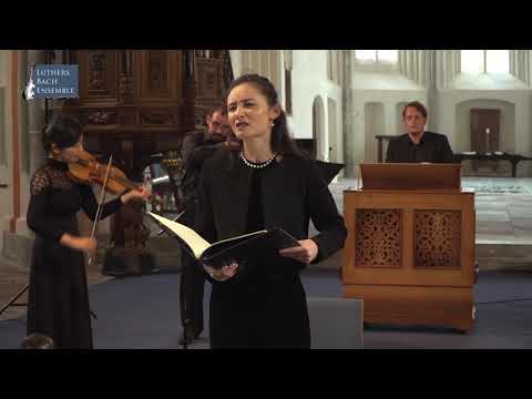 VI. Vidit suum dulcem natum - G.B. Pergolesi (Stabat Mater)
