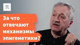 Mechanisms of Epigenetic Inheritance - Sergey Kiselev / PostNauka
