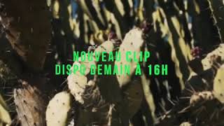 Rim&#39;k - Cactus 🌵 (extrait bonus Mutant)