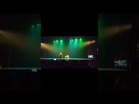 The Jungle Book / Sarabande - Lyrical Pau Tirelli