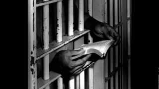 Davide Van De Sfroos - Il Prigioniero e la Tramontana (con testo)