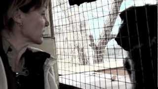 Diana Jones and Rita Miljo.mov