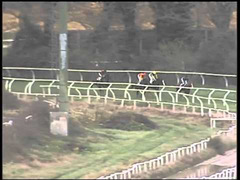 Galoppo 30/01/2015 - 1° corsa