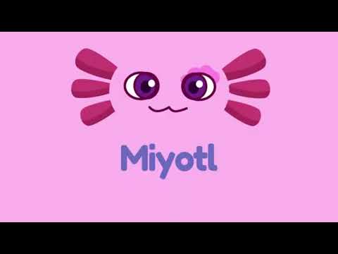 Miyotl, la app que enseña lenguas indígenas | Emilio Álvarez Herrera, fundador Perfiles del 6