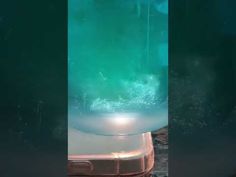 Extração de DNA a partir de Saliva – Aula Prática | Técnicas Moleculares (Farmácia 2025)