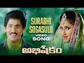 Surabhi Sogasulu Full Video Song Abhishakam Movie Udit Narayan K S Chithra SV Krishna Reddy