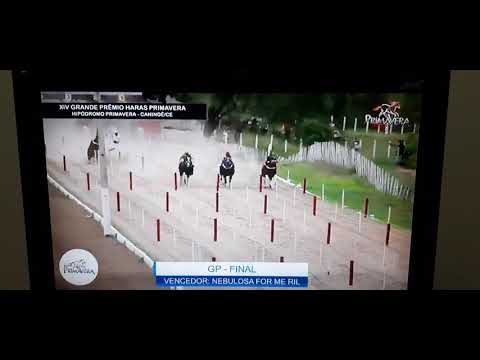 XIV Grande Prêmio Haras Primavera. Canindé/CE .   GP Final 2021