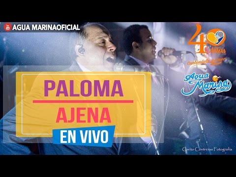 Agua Marina - Paloma Ajena (En Vivo OFICIAL)