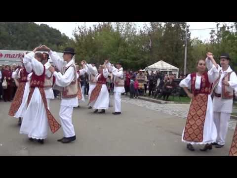 Ansamblul Folcloric "Bârzava" Resita, seniorii / suita din pusta Banatului