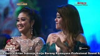 Download lagu AIR TUBA- ALL ARTIS NEW PALLAPA LIVE KUPU  WEDDING CHITA & ANGGA- TEGAL mp3