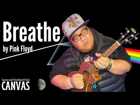 Breathe - Pink Floyd (Sunny and The Black Pack acoustic canvas live on Reddit)