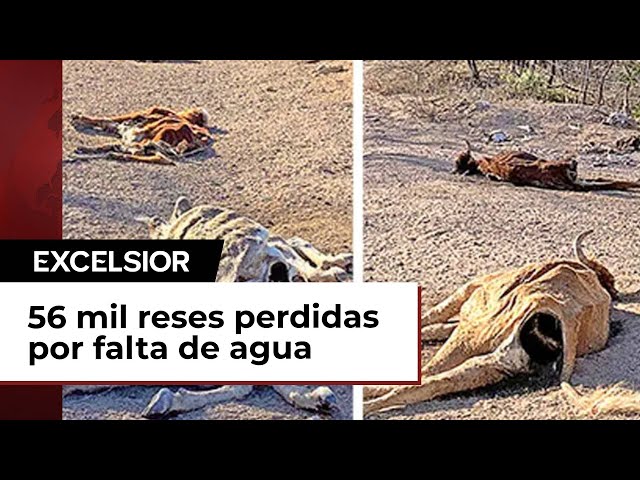 Youtube Imagen