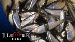 DOH AT DA IPINAGBABAWAL MUNA ANG PAGKAIN NG TAWILIS,TILAPIA, AT IBA PANG ISDA GALING SA TAAL LAKE