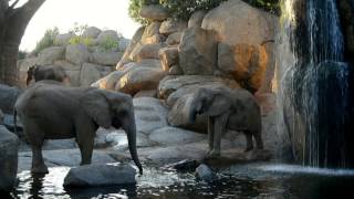 La magia de los atardeceres africanos (lago de los elefantes en BIOPARC Valencia)