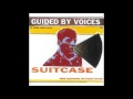 guided by voices - cinnamon flavored skulls