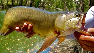 PREHISTORIC FISH FOUND IN WATER HOLE