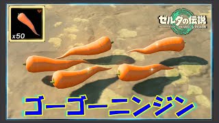 【ゼルダの伝説ティアキン】「ゴーゴーニンジン」が大量に手に入る場所と購入できる場所を紹介！