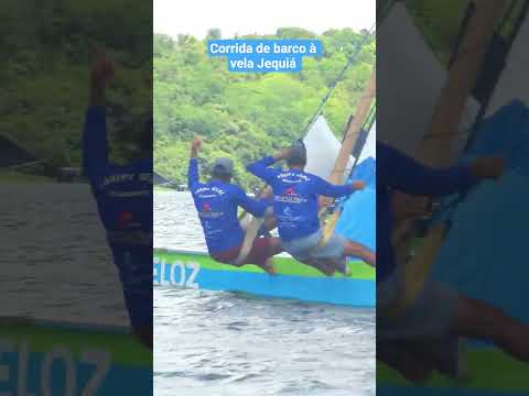 Corrida de barco à vela Jequiá #corridadebarco #jequia #alagoas  #sailgp