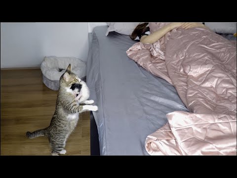 Принесла похвастаться