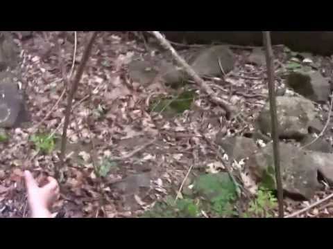 Curtis Dam, Middleton Ma