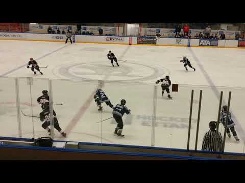 SHD Finland blue - 08 Draftday