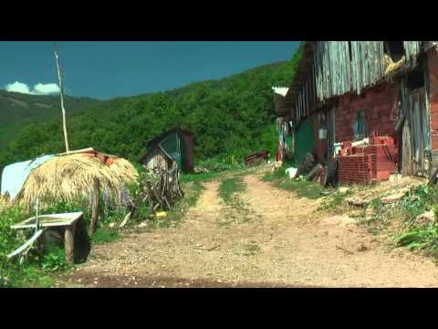 "Незаборав" (Unforgettable)