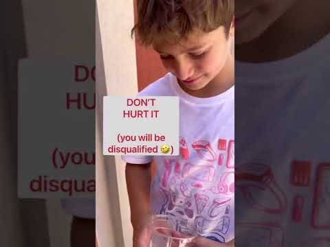 EAT THE BUG OR HOLD IT? 🐜#shorts #shorts #challenge