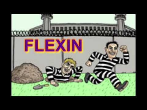 ZOEDADE - FLEXIN