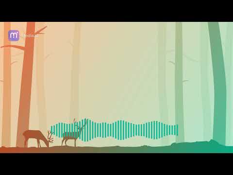 players rmx  Dj Pompey