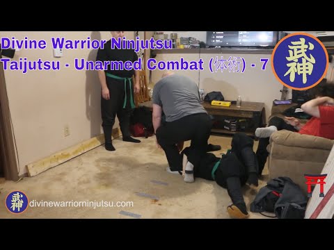 7 - Taijutsu - Unarmed Combat (体術)