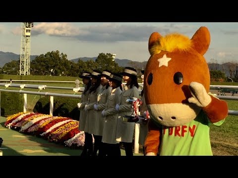 Kyoto, Japan | A day at the races | Kyoto Racecourse