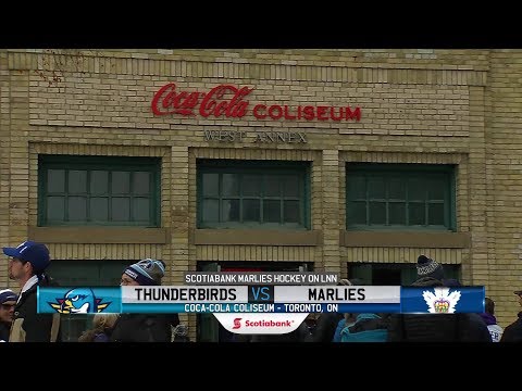 Thunderbirds vs. Marlies | Feb. 9, 2019