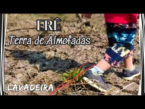 Lavadeira - Terra de Almofadas