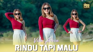 Download lagu Vita Alvia - Rindu Tapi Malu (DJ Remix) mp3